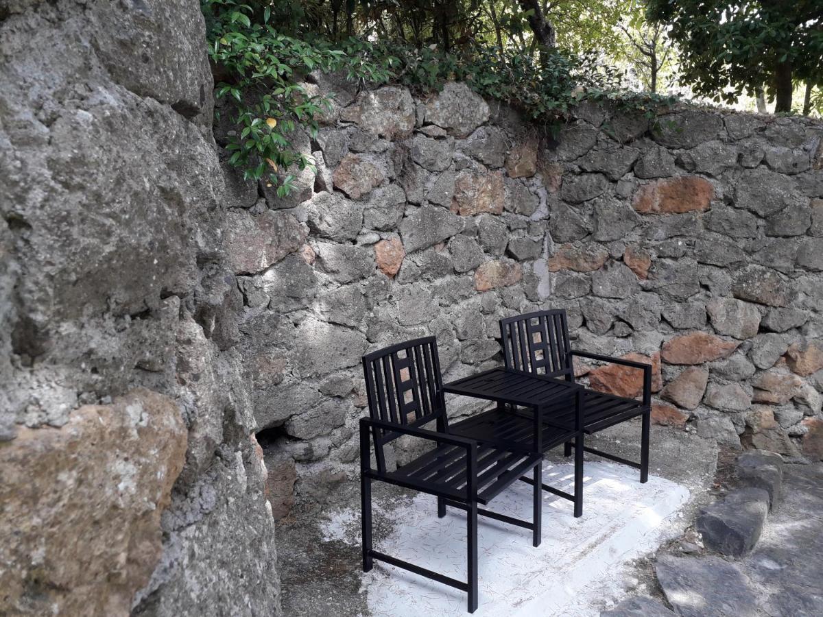 Bed&Breakfast "Fiorella" Sul Lago Castel Gandolfo Dış mekan fotoğraf