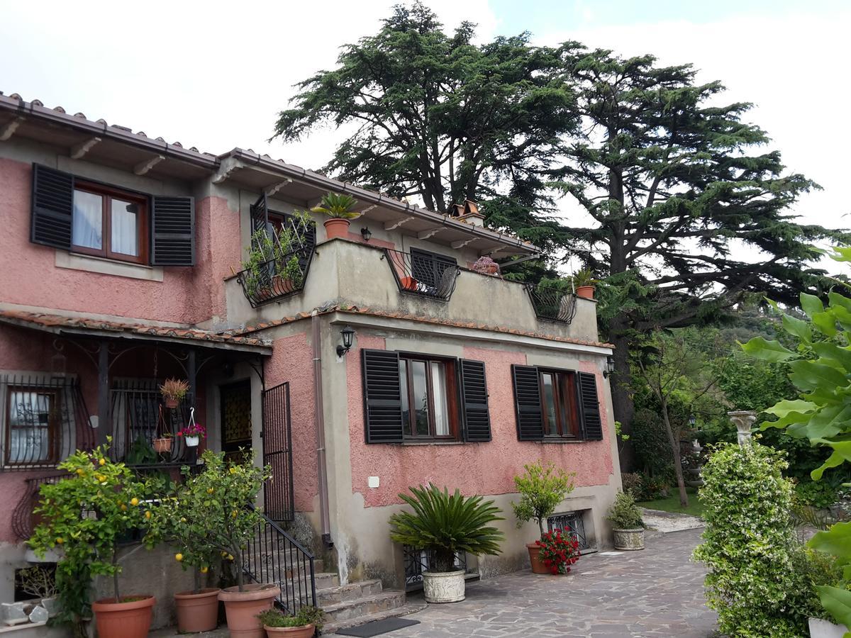 Bed&Breakfast "Fiorella" Sul Lago Castel Gandolfo Dış mekan fotoğraf